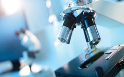 Letraset sheets for all people